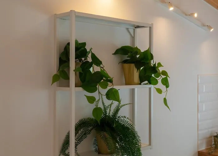 Modern & Stylish With Terrace By Hostwise * Porto